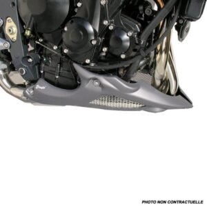 Sabot moteur Ermax