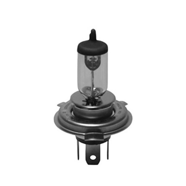 Ampoule Philips CODES EUROPEENS R2 VISIO 12V 45/40W P45T-41