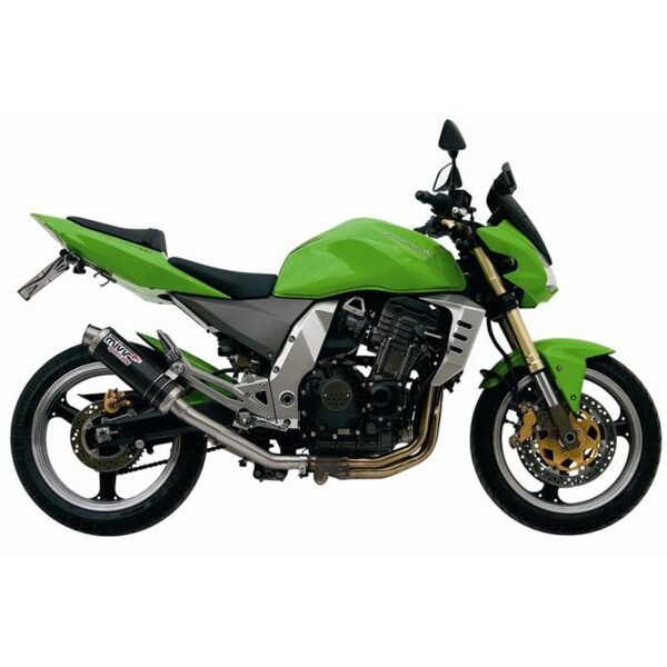 Silencieux Mivv GP Carbone