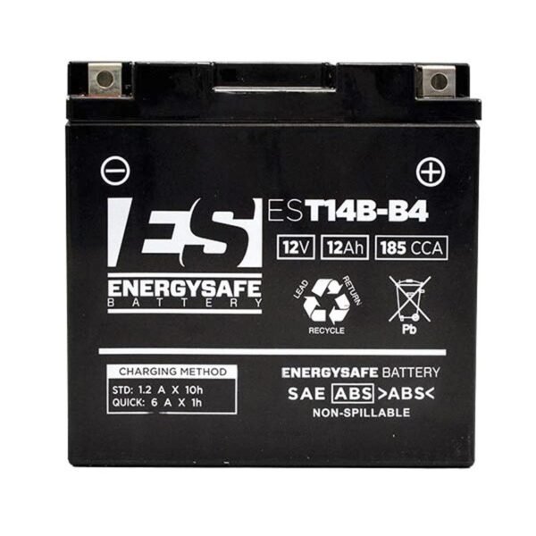 Batterie EnergySafe EST14B-4 ferme Type Acide Sans entretien/prête à l'emploi