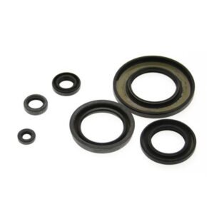 Pochette de joints Centauro Spys bas-moteur