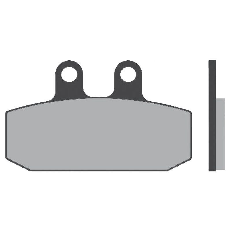 Plaquettes de freins Brenta Sinter Métal Fritté Avant