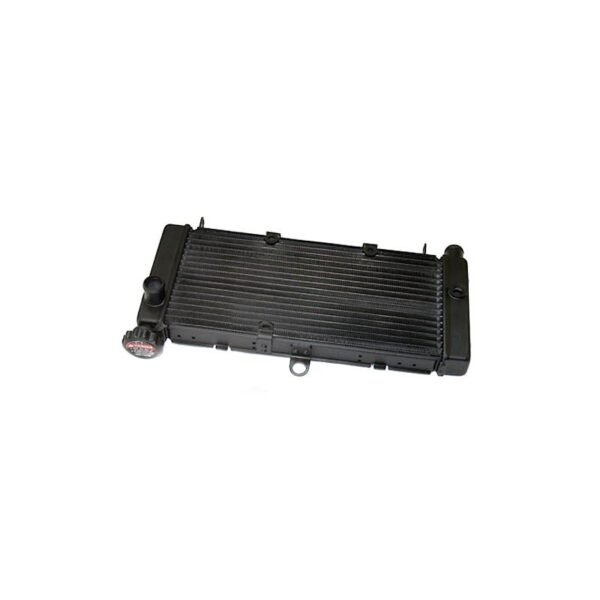 Radiateur Brazoline A EAU ADAPTABLE