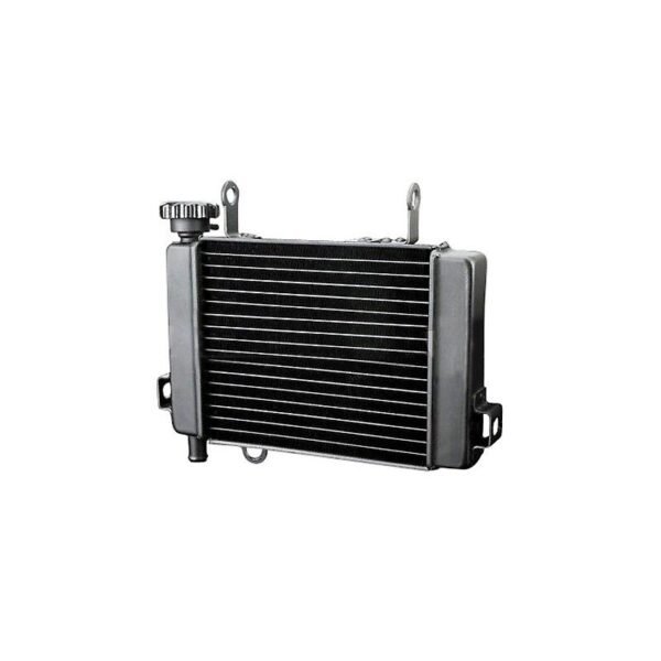 Radiateur Brazoline A EAU ADAPTABLE