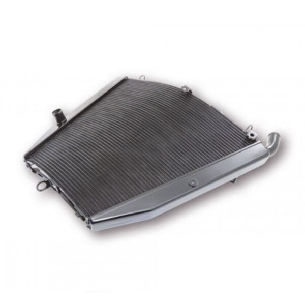 Radiateur Brazoline A EAU ADAPTABLE