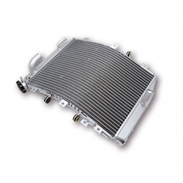 Radiateur Brazoline A EAU ADAPTABLE