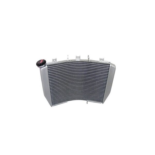 Radiateur Brazoline A EAU ADAPTABLE