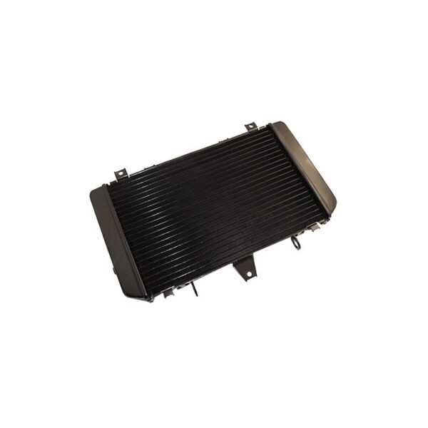 Radiateur Brazoline A EAU ADAPTABLE