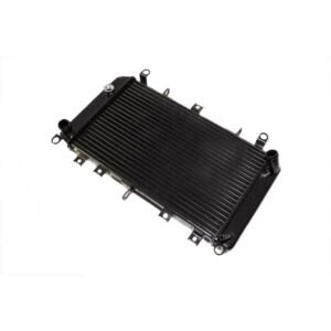 Radiateur Brazoline A EAU ADAPTABLE