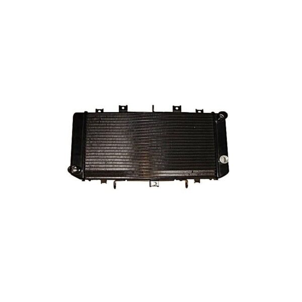 Radiateur Brazoline A EAU ADAPTABLE