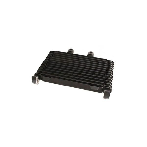 Radiateur Brazoline A HUILE ADAPTABLE