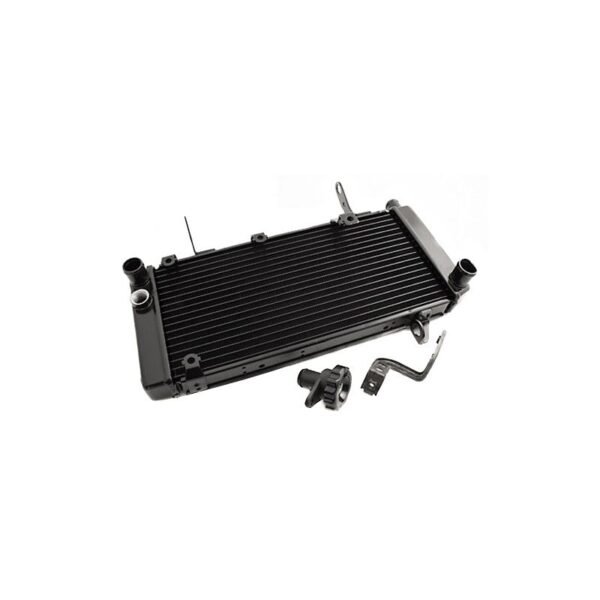 Radiateur Brazoline A EAU ADAPTABLE