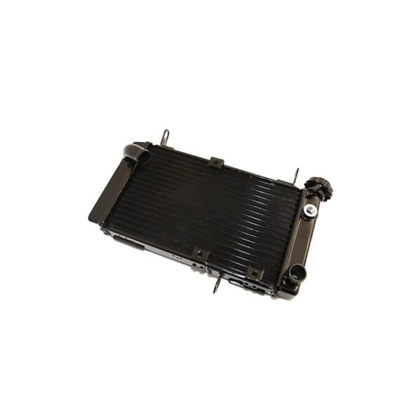 Radiateur Brazoline A EAU ADAPTABLE