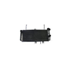 Radiateur Brazoline A EAU ADAPTABLE