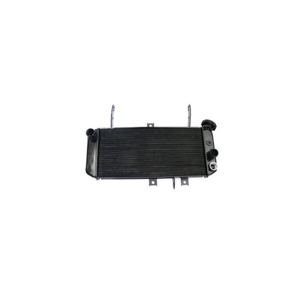Radiateur Brazoline A EAU ADAPTABLE