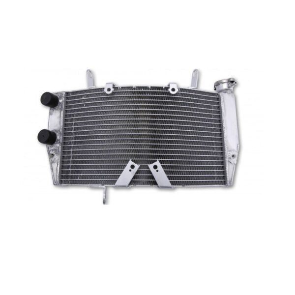 Radiateur Brazoline A EAU ADAPTABLE