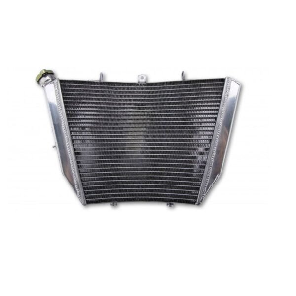 Radiateur Brazoline A EAU ADAPTABLE