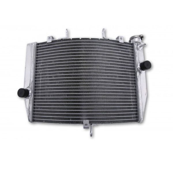Radiateur Brazoline A EAU ADAPTABLE