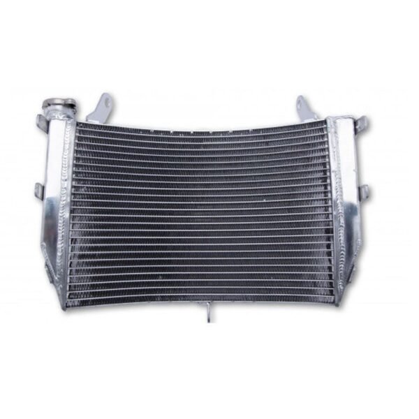 Radiateur Brazoline A EAU ADAPTABLE