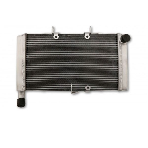 Radiateur Brazoline A EAU ADAPTABLE