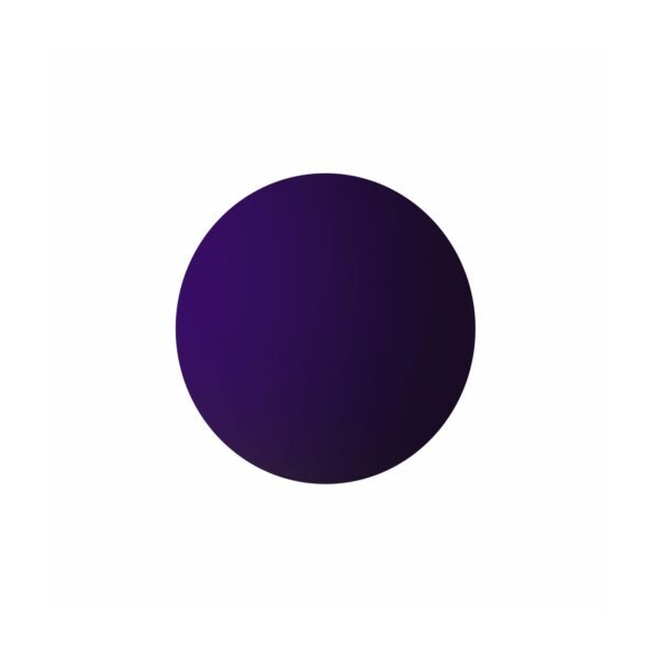 Ecran Masque Scott WORKS IRIDIUM VIOLET - BUZZ