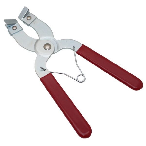 Pinces Buzzetti PINCE A SEGMENT