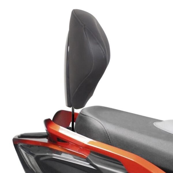 Support Shad pour dosseret scooter